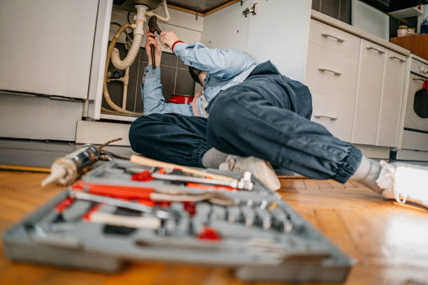 Best Sprinkler Systems  in Vineyards, FL